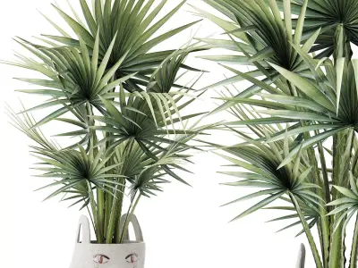 Plants Collection 139 Sabal Minor 3D model