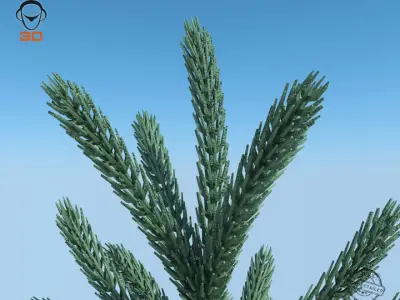 Christmas Tree 3D model