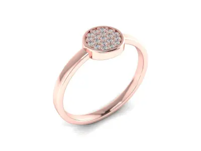 Ring 91b 3D print model