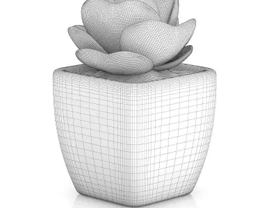Small Plant in White Pot 2 3D model