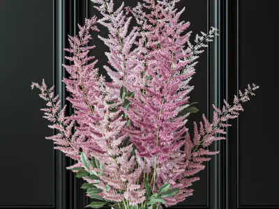 Flower Set 039 Astilbe 3D model