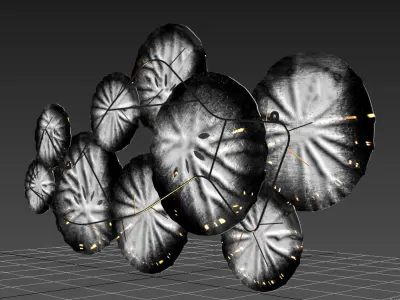 wall decor rash2 3D model