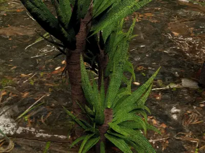 Plants 3D model