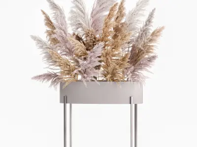 Decorative Bouquet of dried pampas grass 190 3D model
