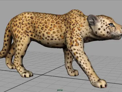 JAGUAR cheetah 3D model