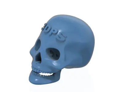 Logotip on Human Skull 3D print model