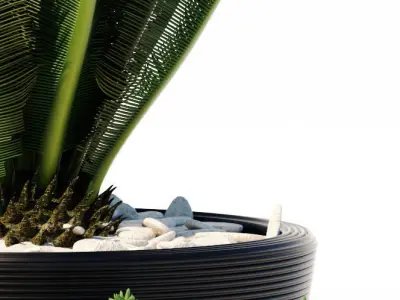 plants set 151 3D model