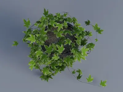 Plant pot Low-poly 3D model buy