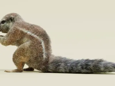 -Cape Squirrel- 3D model