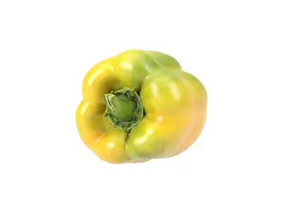 Photorealistic Bell Pepper 3D Scan 3D model