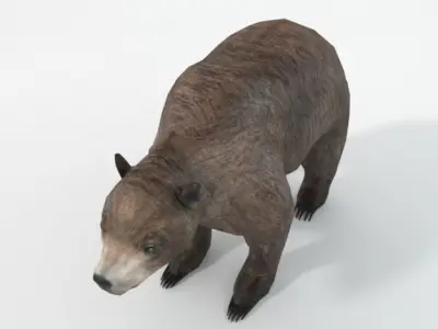 Grizzly bear Low-poly 3D model