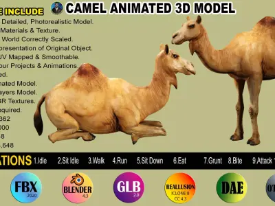 CAMEL RIGGED ANIMATED 10 Low-poly 3D model