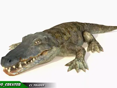 Crocodile Rig Animated LowPoly 3d model Low-poly 3D model