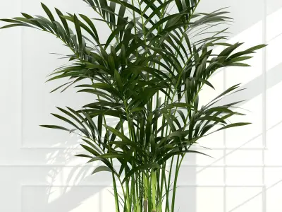 Plants collection 54 3D model