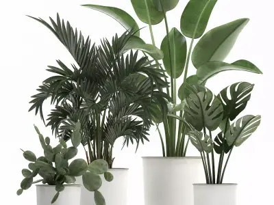 Collection of decorative plants in white flowerpots 927 3D model