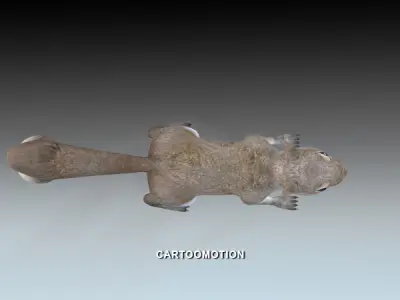 Squirrel Low-poly 3D model