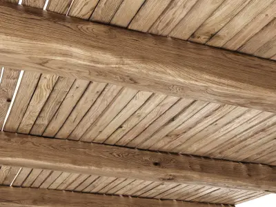 Wooden Ceiling V4  3D model
