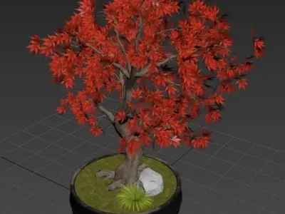Bonsai plant 02 3D model
