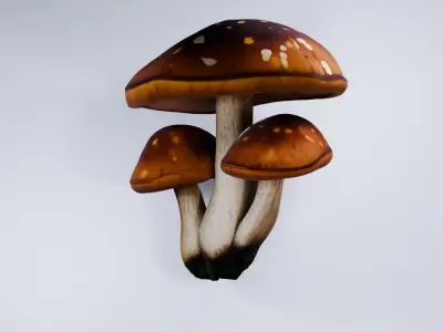 Low Poly Mushrooms - Stylized Forest Prop  Free 3D model