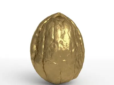 Golden Walnut Decorative 3D model