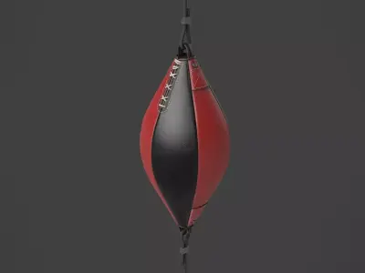 Punching Bag 7 3D model