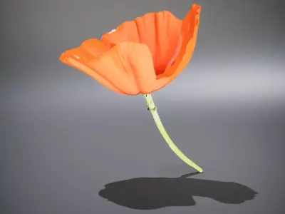 Vibrant Orange Poppy model pack Low-poly 3D model