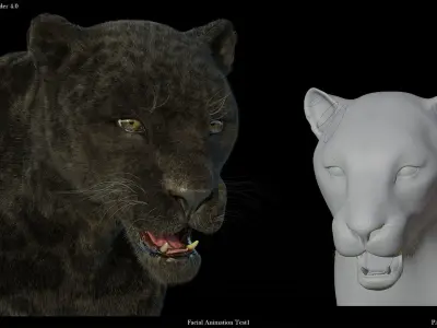 Panther 3D Blender I Animated 3D model