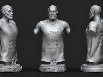 LeBron James 3D Printable 1 3D print model