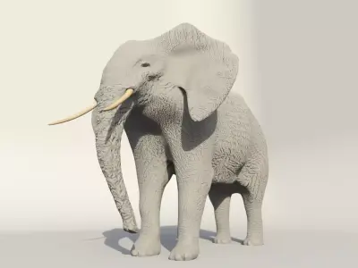Elephant Low-poly 3D model