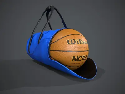 Basketball Carry Bag Low-poly 3D model