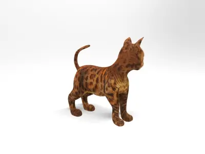 3D Cat Rigged and  Animated model  Low-poly 3D model