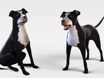 Dog Rigged  Low-poly 3D model