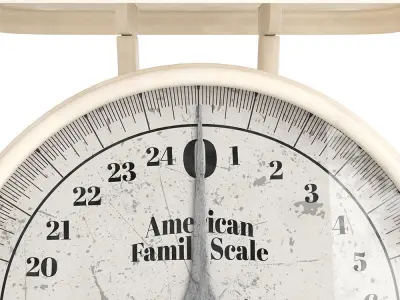 Vintage American Family Scale 3D model