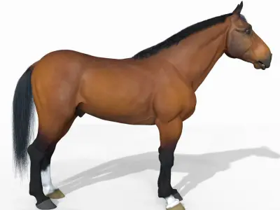 Horse 3D model