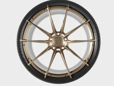 CF-R10 DYMAG 3D model