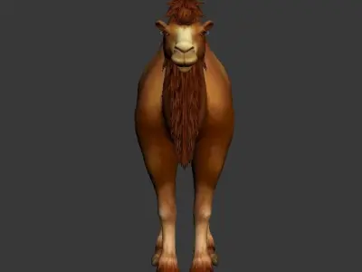 BactrianCamel camel with long hair Low-poly 3D model