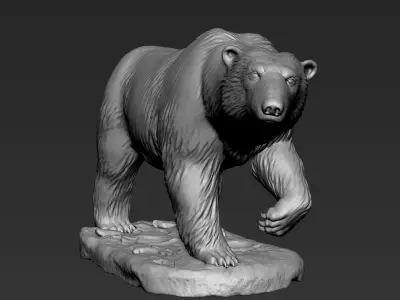 Polar Bear Zbrush Sculpt 3D model