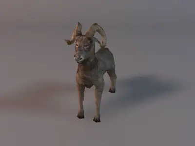 Low poly ram Low-poly 3D model