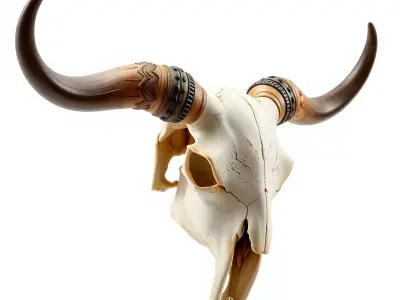 Decorative Bull Skull Model Pack with Carved Horns Low-poly 3D model