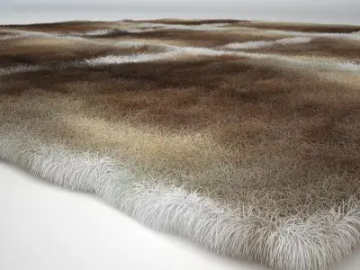 Deerskin Rug 3D model