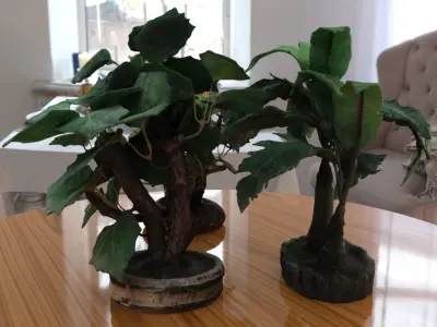 Bonsais Pack 3D model