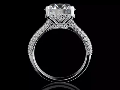 Gold N1563 3D print model