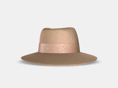 MAISON MICHEL VIRGINIE 3D model