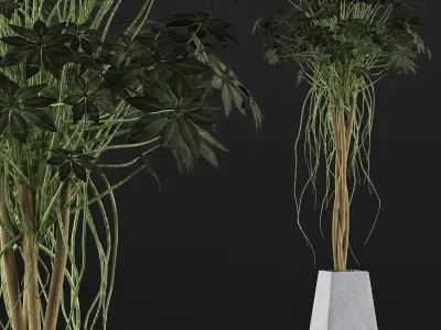 Plants Collection 66 3D model