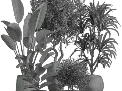 Indoor plant 10 3D model purchase