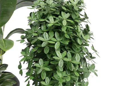 Indoor plant 17 Low-poly 3D model