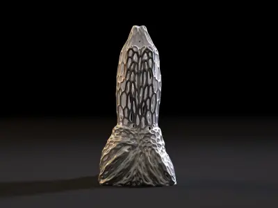 Praying Hands Voronoi 3D print model