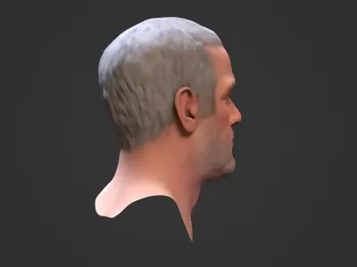 Favre Brett Low-poly 3D model