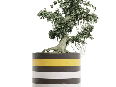 Plants Collection 122 Bonsai 3D model