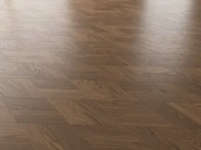 Parquet Oak Black Walnut Brushed set 5 3D model